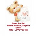 1 Bear 1 Bear