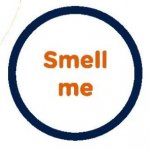 Scratch n Sniff Scratch n Sniff