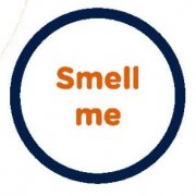 Scratch n Sniff