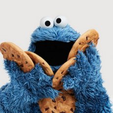 The Best Biscuits Ever? The Best Biscuits Ever?