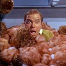 The Legend Called William Shatner The Legend Called William Shatner