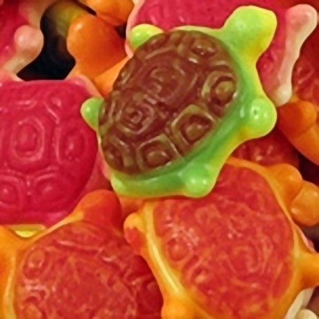 Jelly Filled Turtles Jelly Filled Turtles