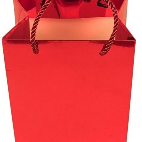 Small Gift Bag (Empty) Small Gift Bag (Empty)