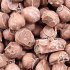Chewing Nuts Chewing Nuts